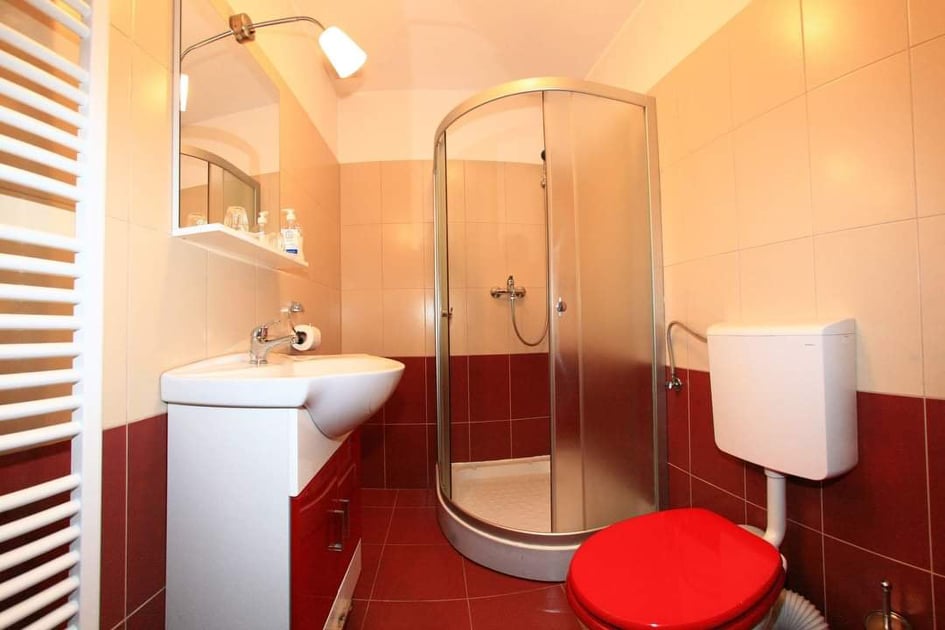 Cazare in Paltinis - VILA EDELWEISS - Paltinis Cazare in Paltinis - VILA EDELWEISS - Paltinis