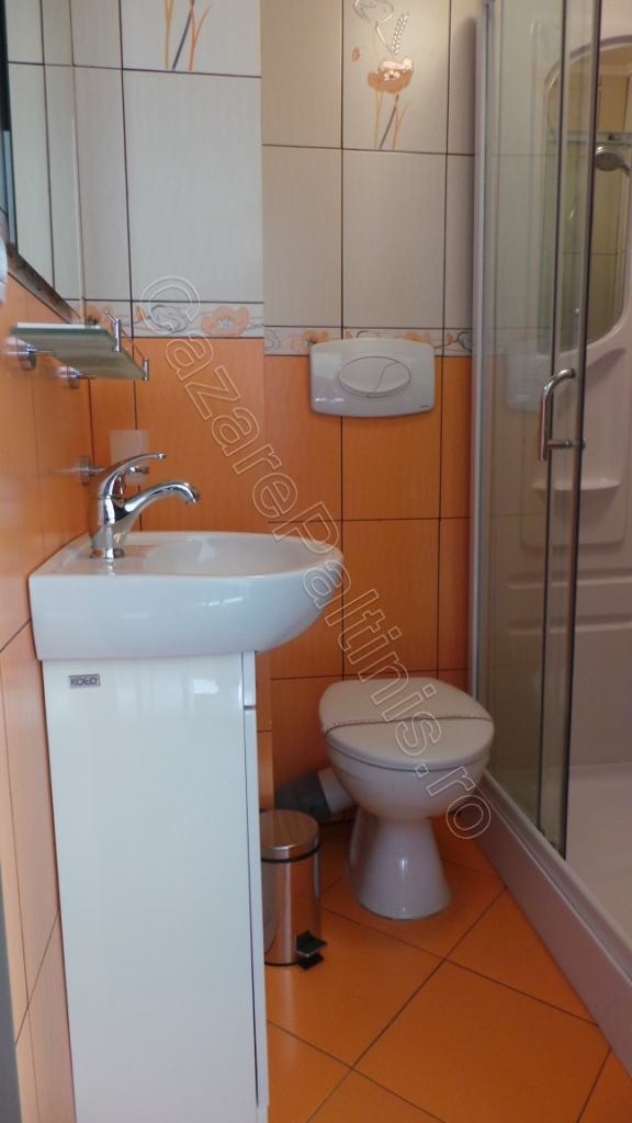 Cazare in Paltinis - VILA CREASTA COCOSULUI - Paltinis Cazare in Paltinis - VILA CREASTA COCOSULUI - Paltinis