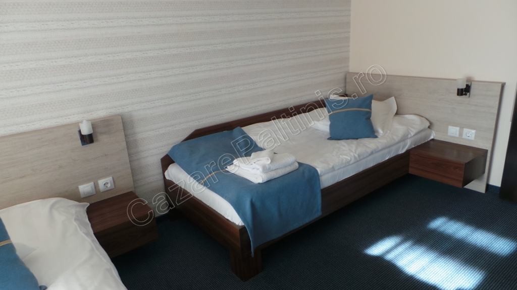 Cazare in Paltinis - VILA CREASTA COCOSULUI - Paltinis Cazare in Paltinis - VILA CREASTA COCOSULUI - Paltinis