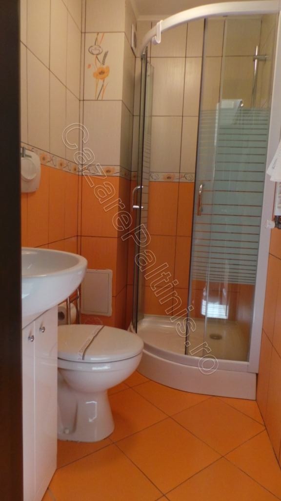 Cazare in Paltinis - VILA CREASTA COCOSULUI - Paltinis Cazare in Paltinis - VILA CREASTA COCOSULUI - Paltinis