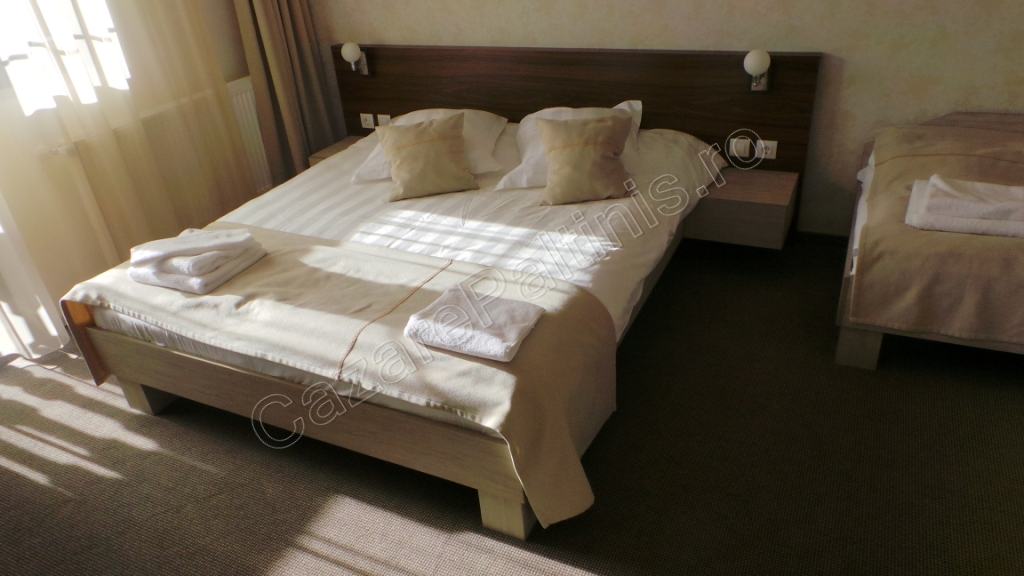 Cazare in Paltinis - VILA CREASTA COCOSULUI - Paltinis Cazare in Paltinis - VILA CREASTA COCOSULUI - Paltinis