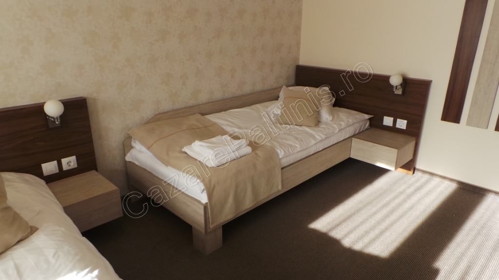 Cazare in Paltinis - VILA CREASTA COCOSULUI - Paltinis Cazare in Paltinis - VILA CREASTA COCOSULUI - Paltinis