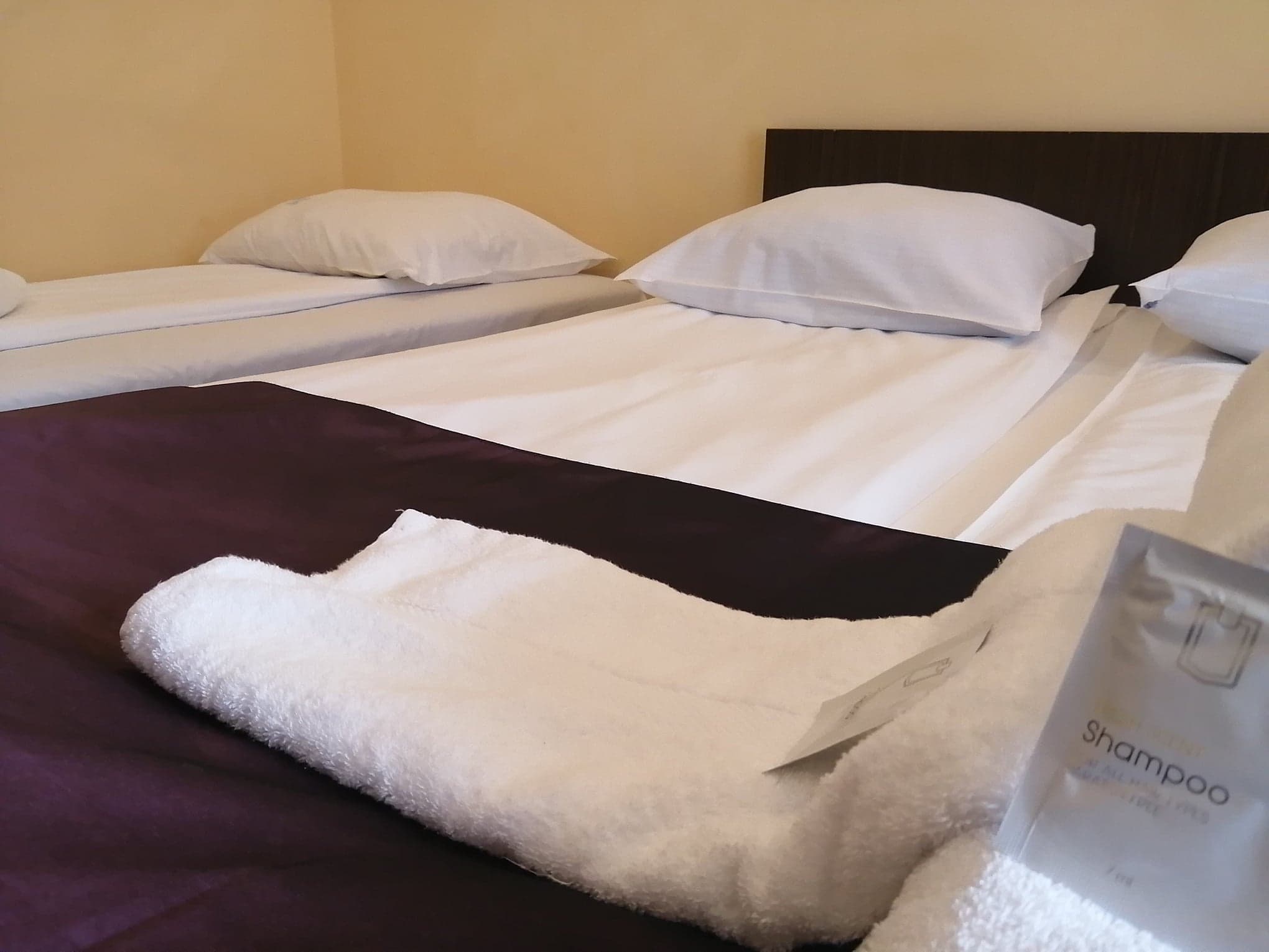 Cazare in Paltinis - PENSIUNEA ALPIN - Valea Stezii Cazare in Paltinis - PENSIUNEA ALPIN - Valea Stezii