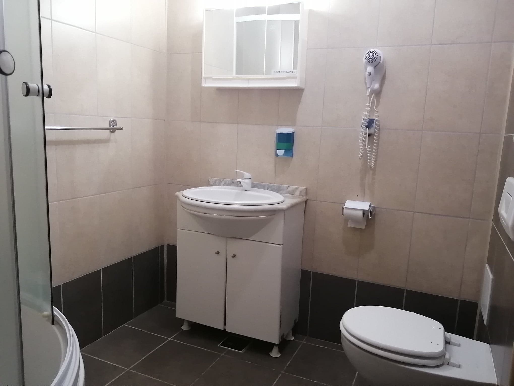 Cazare in Paltinis - PENSIUNEA ALPIN - Valea Stezii Cazare in Paltinis - PENSIUNEA ALPIN - Valea Stezii