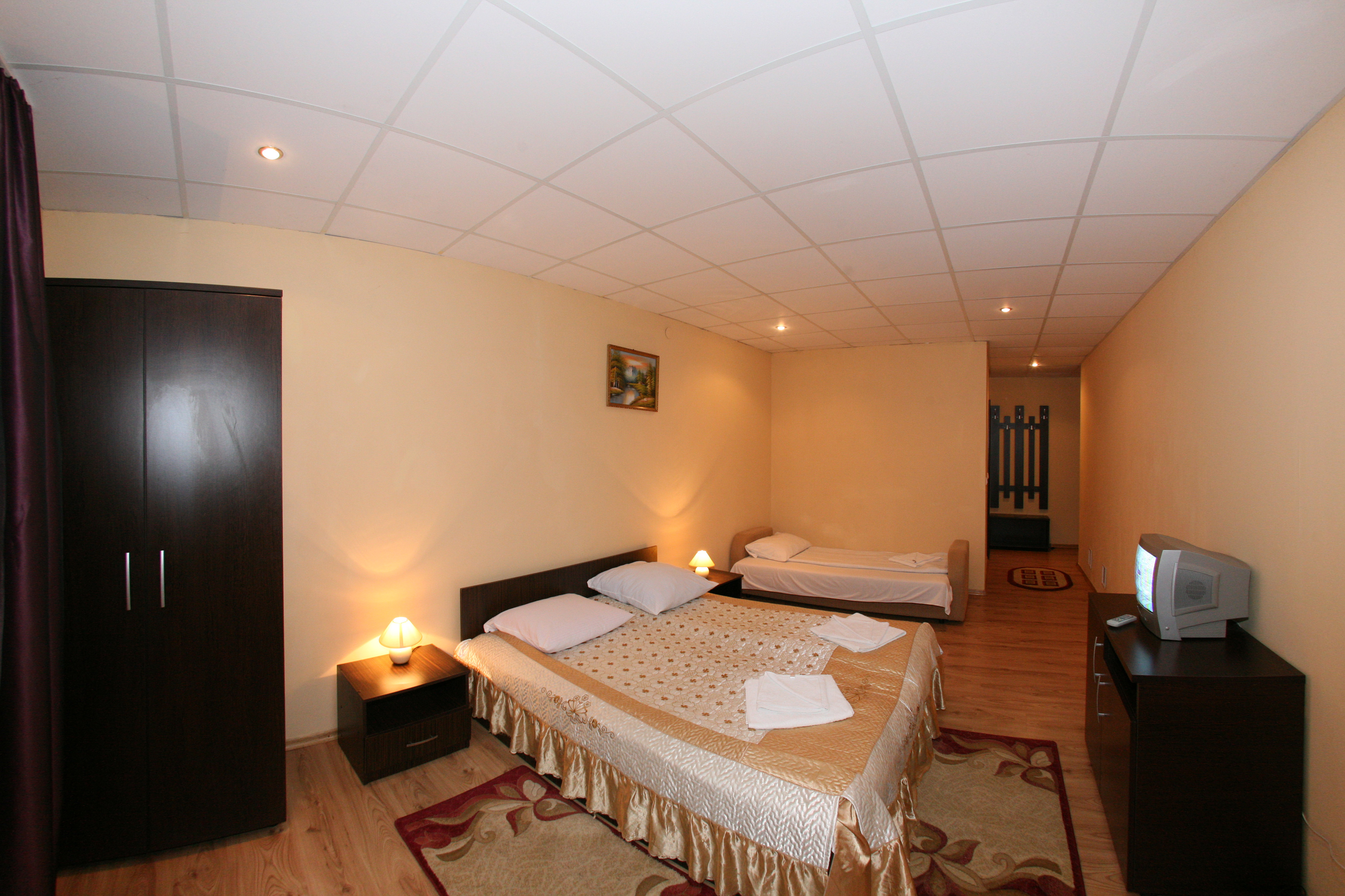 Cazare in Paltinis - PENSIUNEA ALPIN - Valea Stezii Cazare in Paltinis - PENSIUNEA ALPIN - Valea Stezii