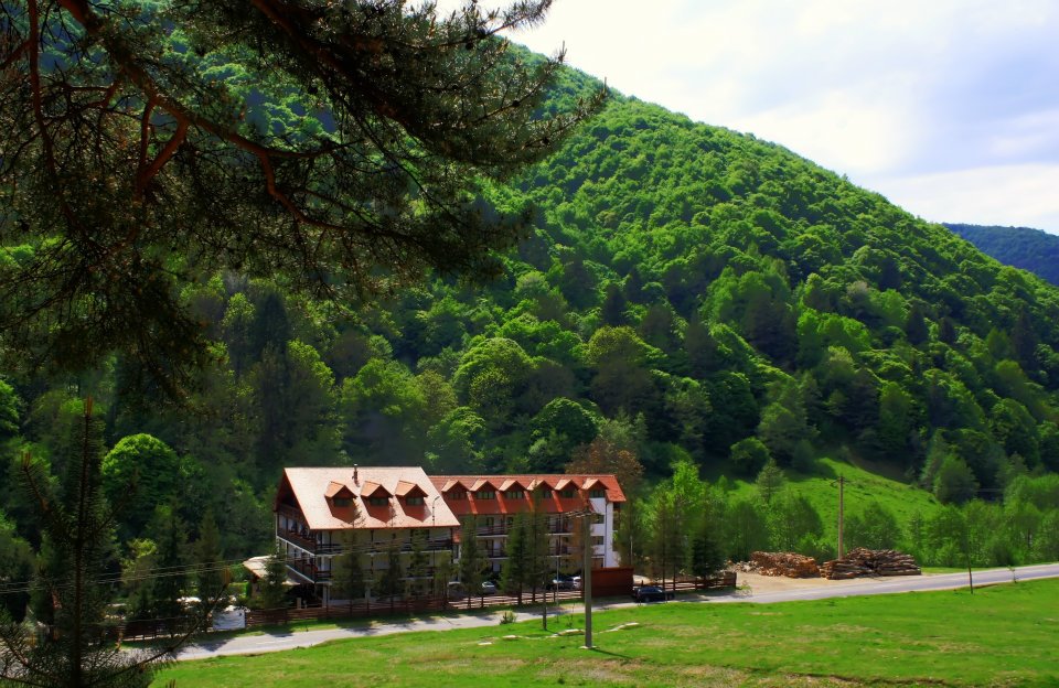 Cazare in Paltinis - PENSIUNEA MAI - Valea Stezii Cazare in Paltinis - PENSIUNEA MAI - Valea Stezii