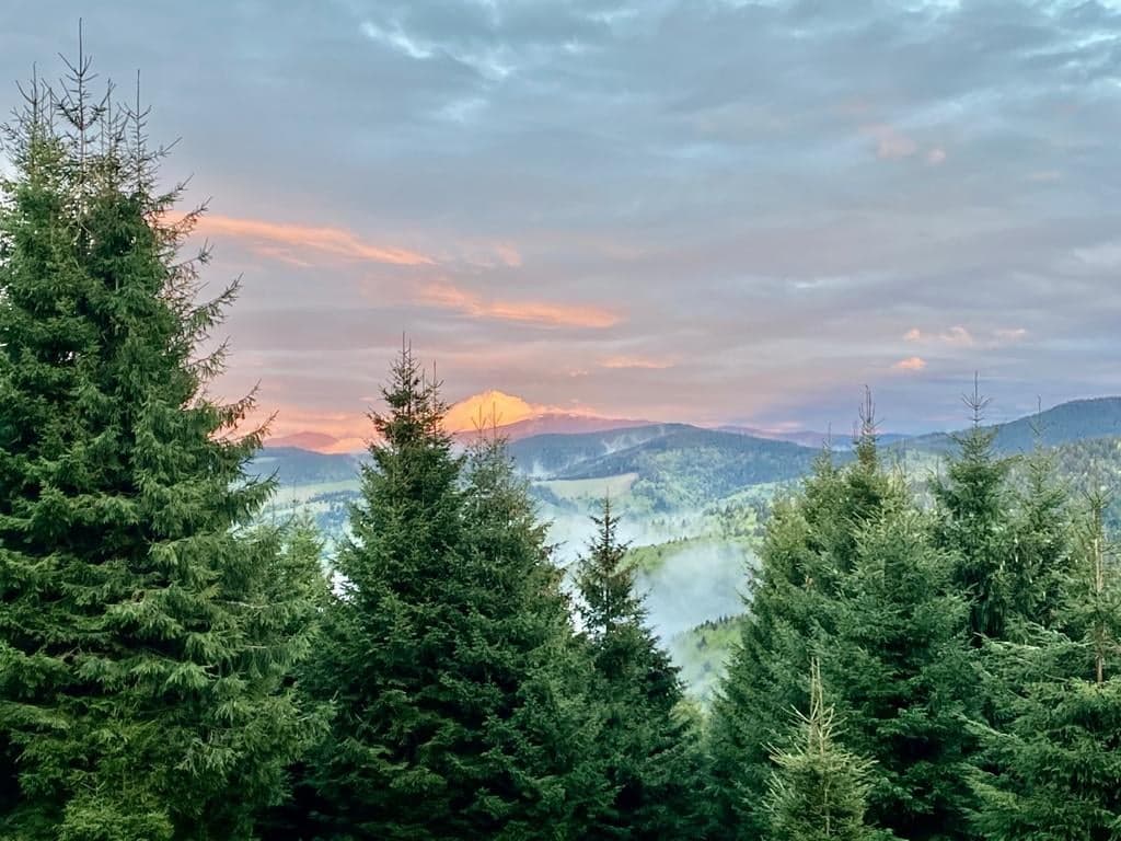 Cazare in Paltinis - PENSIUNEA REGINA MARIA - Paltinis Cazare in Paltinis - PENSIUNEA REGINA MARIA - Paltinis