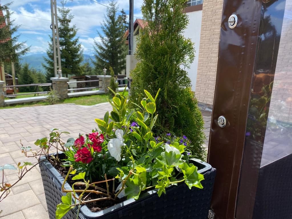 Cazare in Paltinis - PENSIUNEA REGINA MARIA - Paltinis Cazare in Paltinis - PENSIUNEA REGINA MARIA - Paltinis